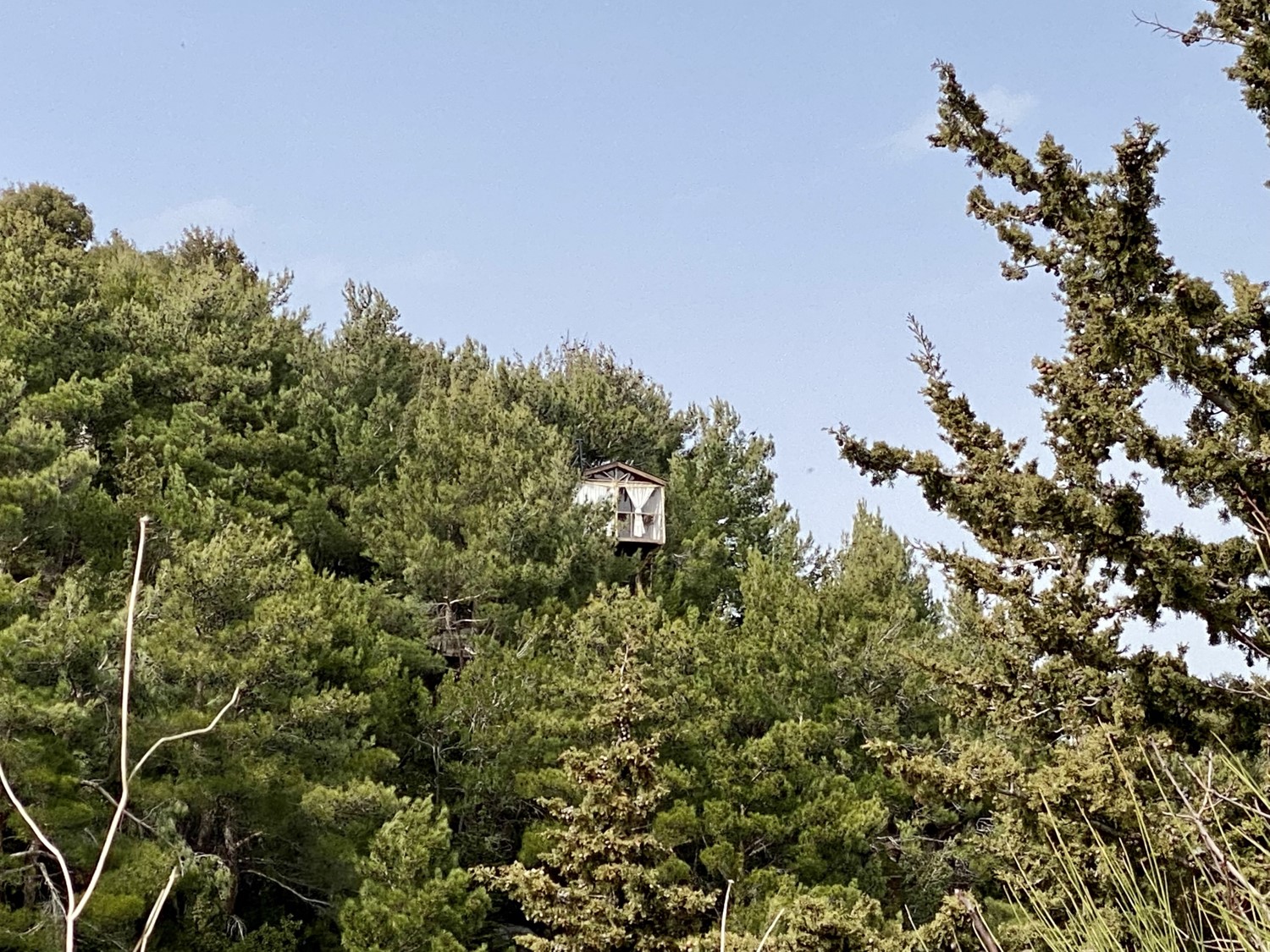 Capella tree house – Cheer Up camping