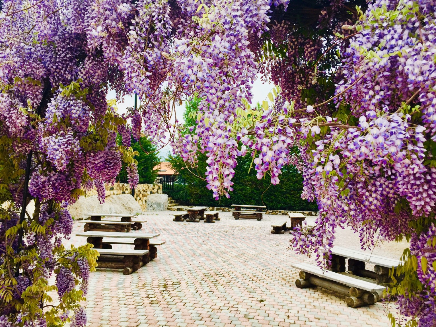 Wood Hills Resort III